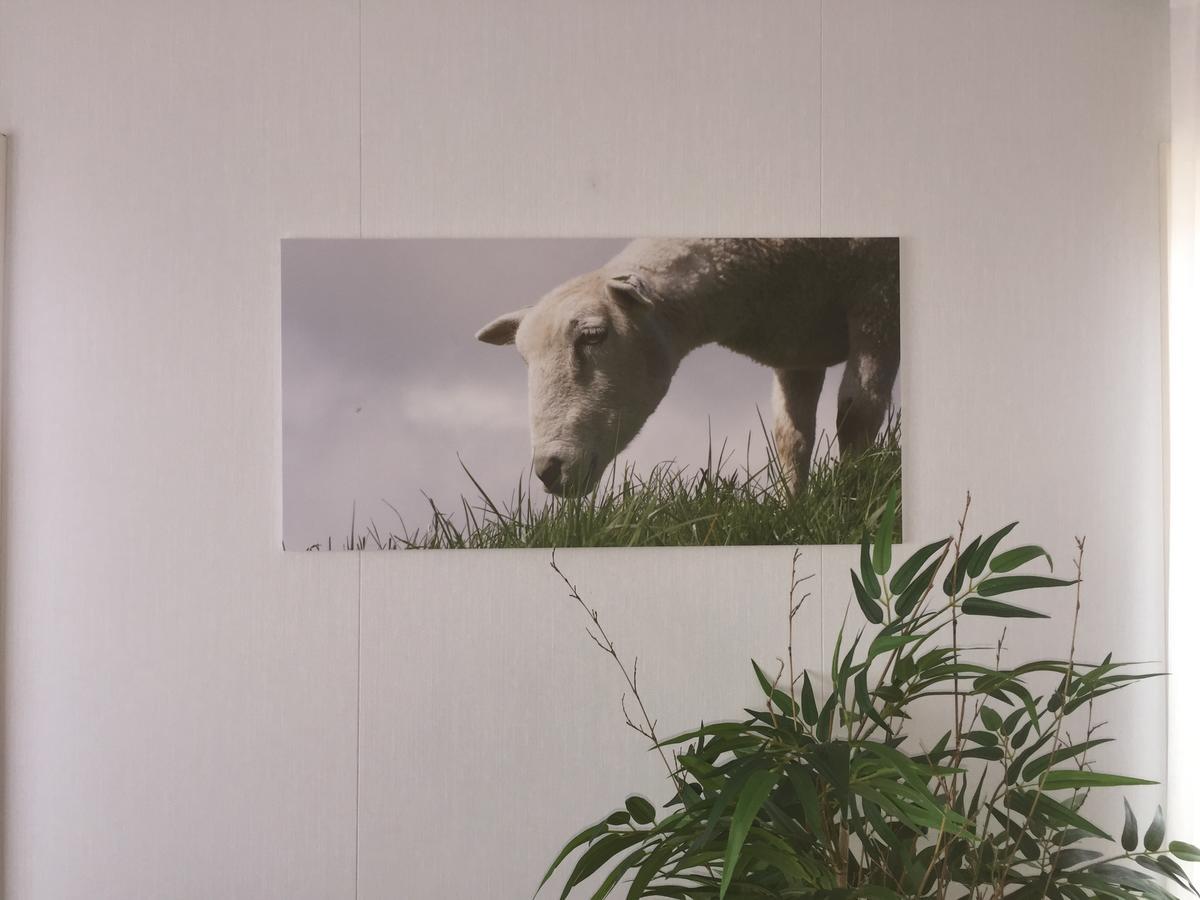 Ijsselmeer-Chalet Nr. 66 Molkwerum ภายนอก รูปภาพ